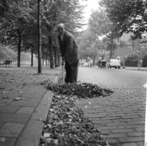Vallende bladeren op de Apollolaan, man veegt bladeren, Bestanddeelnr 911-6181