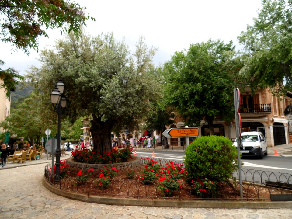 VALLDEMOSSA-MAJORKA, AB-295