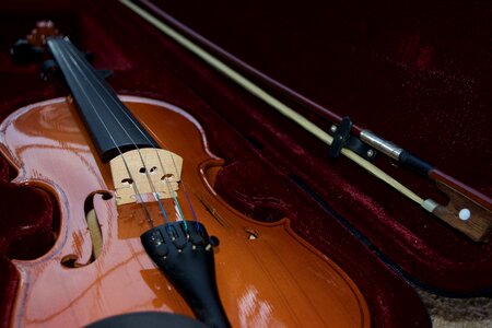 Musical instrument string photo