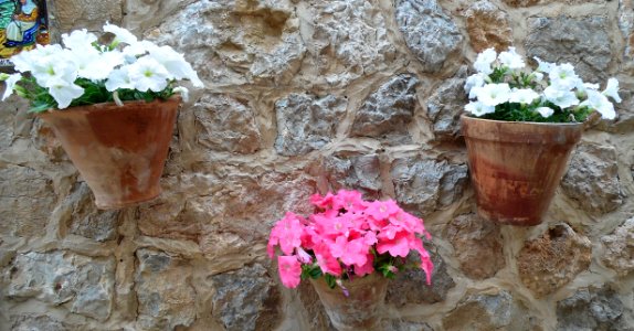 VALLDEMOSSA-MAJORKA, AB-332