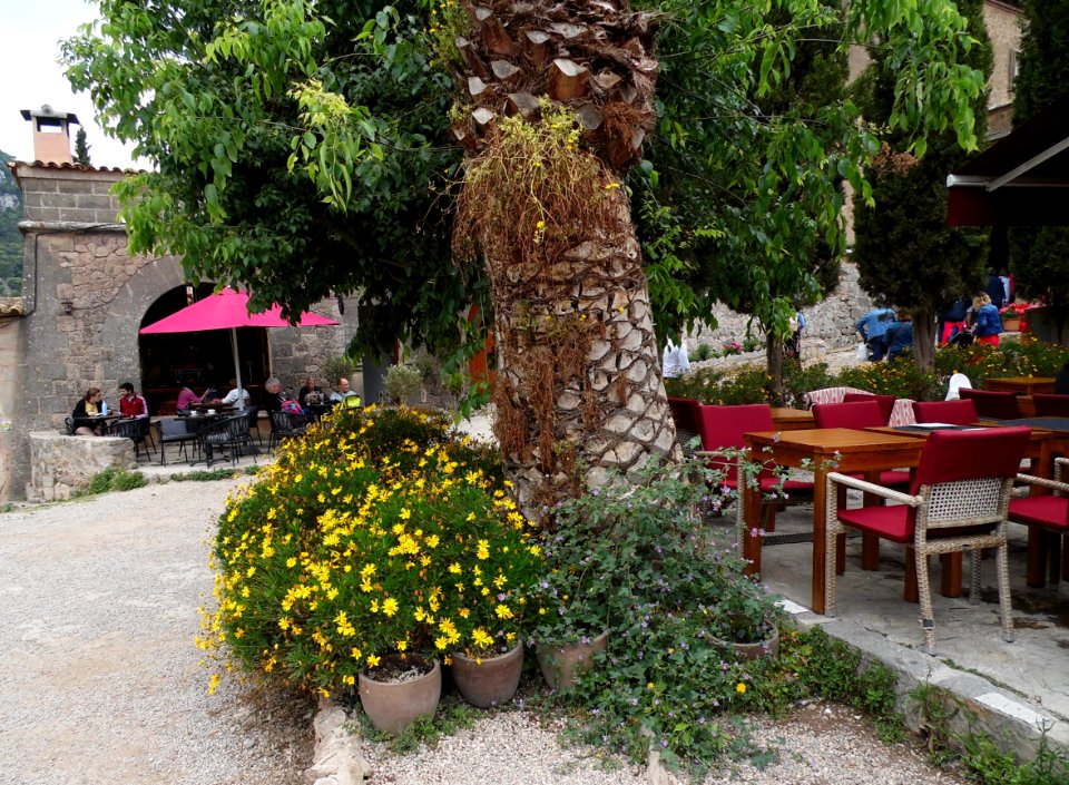 VALLDEMOSSA-MAJORKA, AB-350