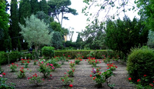VALLDEMOSSA-MAJORKA, AB-316