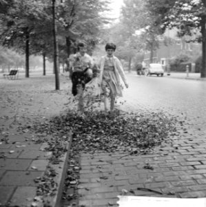 Vallende bladeren op de Apollolaan, kinderen lopen in de bladeren te schoppen, Bestanddeelnr 911-6182
