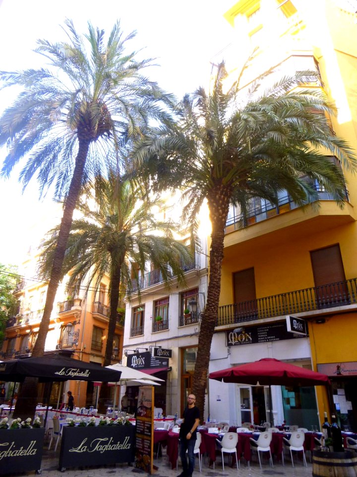 Valencia 06