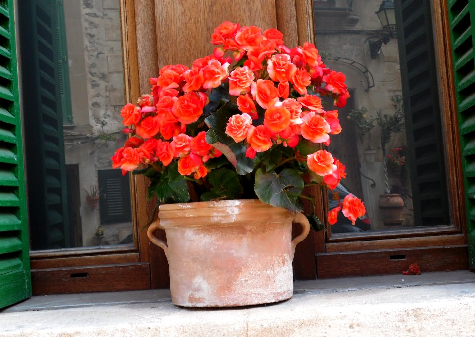 VALLDEMOSSA-MAJORKA, AB-334