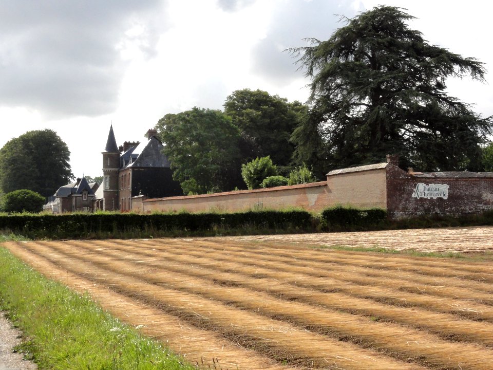 Valliquerville (Seine-Mar.) château de Valliquerville (01)