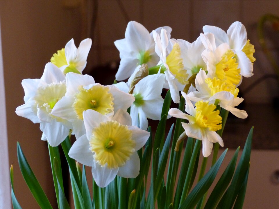 Yellow colors green