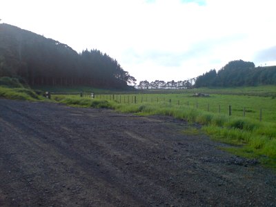 Valleys West Of Kaipara Harbour II photo
