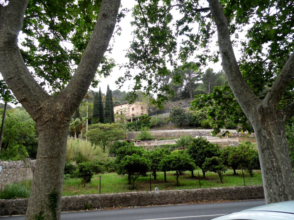 VALLDEMOSSA-MAJORKA, AB-275