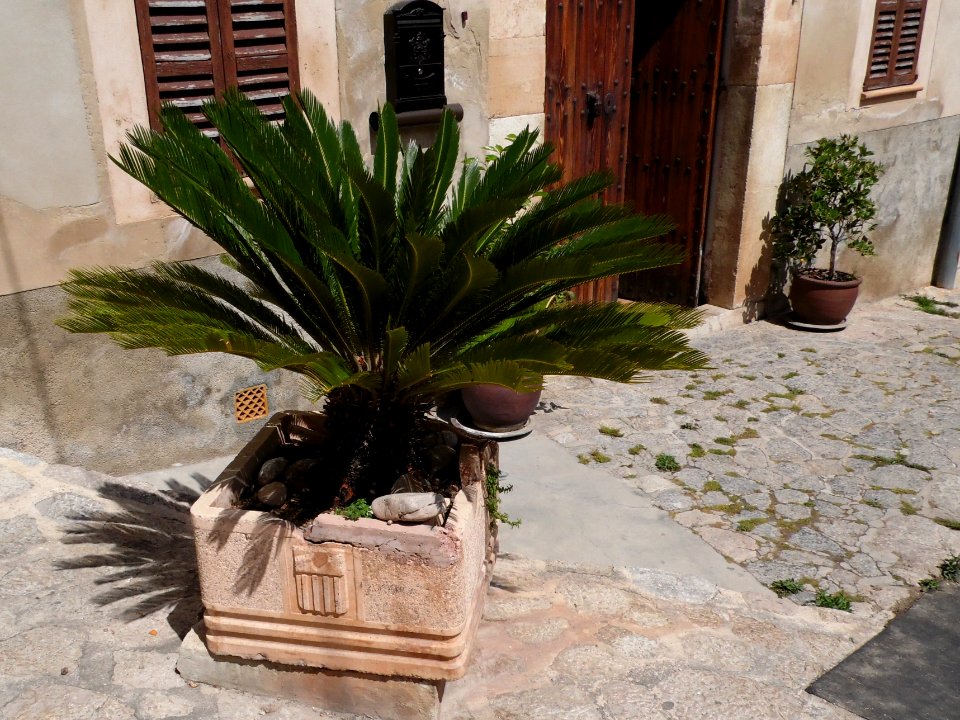 VALLDEMOSSA-MAJORKA, AB-372