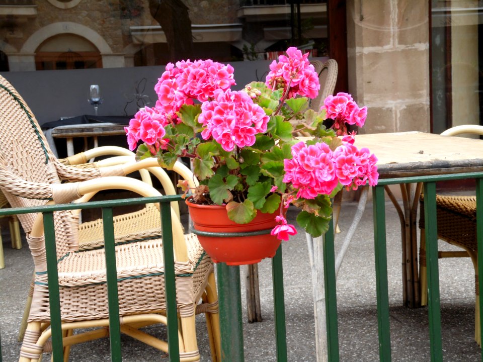 VALLDEMOSSA-MAJORKA, AB-286
