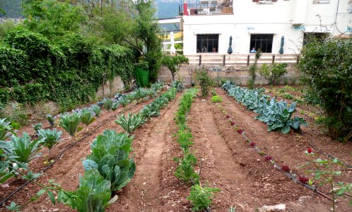 VALLDEMOSSA-MAJORKA, AB-273