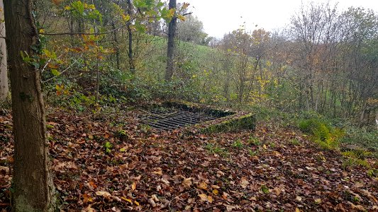 Valkenburg-Viltergroeve (9)