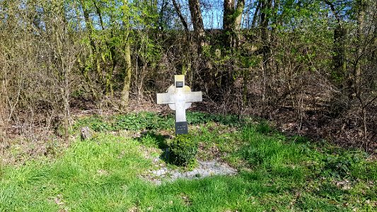 Valkenburg-wegkruis Bosstraat bij snelweg (2)