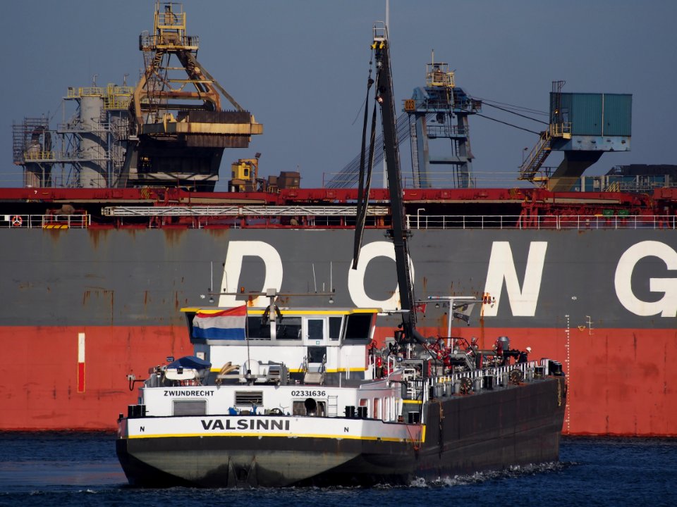 Valsinni ENI 02331636, IJmuiden, Port of Amsterdam pic4