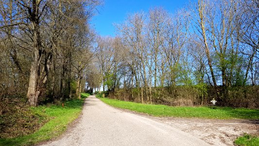 Valkenburg-wegkruis Bosstraat bij snelweg (4)