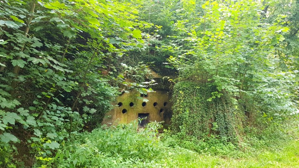 Valkenburg-Viltergroeve (2)