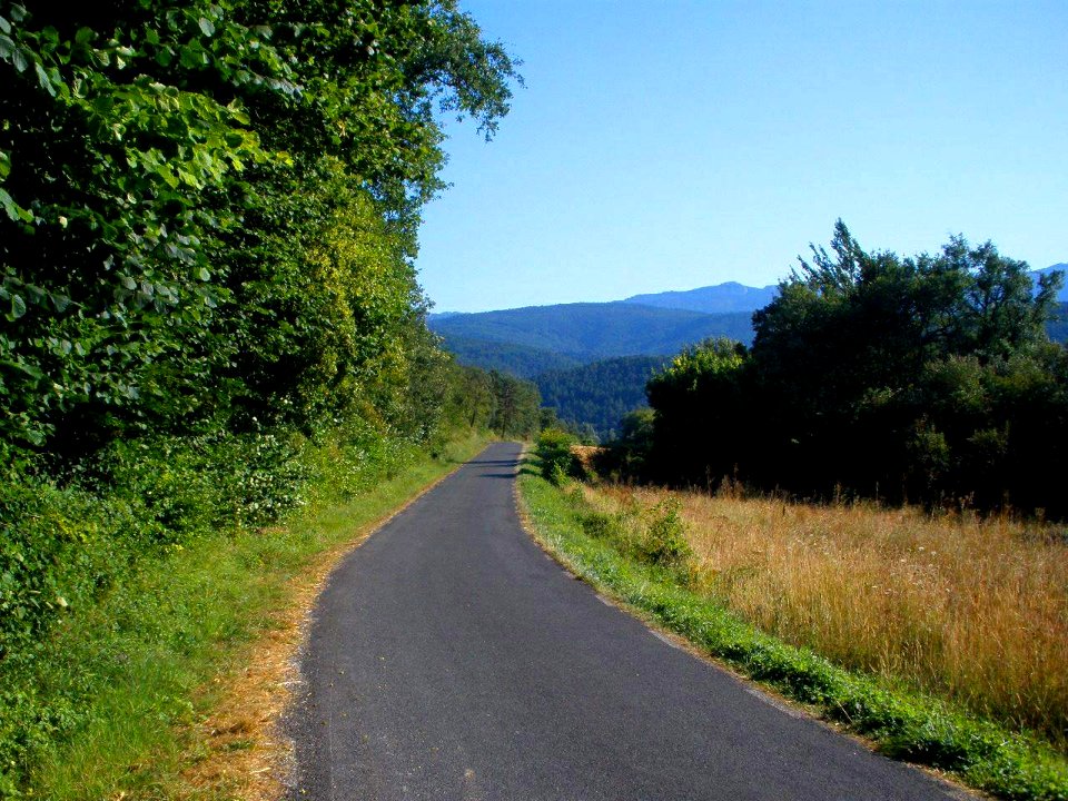 Valpuesta 13