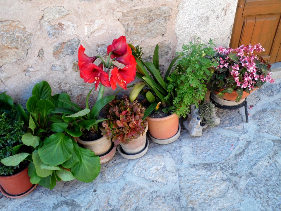 VALLDEMOSSA-MAJORKA, AB-380