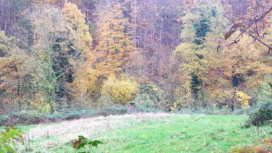 Valkenburg-Viltergroeve (5)