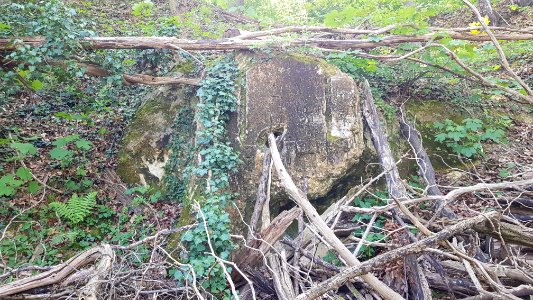 Valkenburg-Vogelbosgroeve (6)