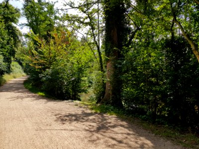 Valkenburg-Sint-Jansbron (5)