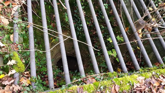 Valkenburg-Viltergroeve (10)