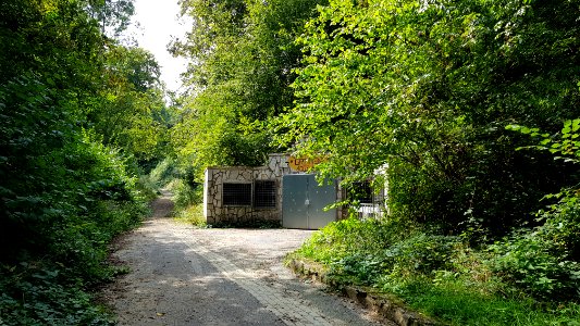 Valkenburg-Trichterberggroeve (4)