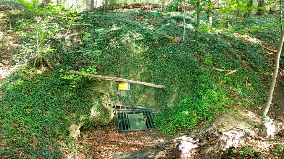 Valkenburg-Vallenberggroeve (4)