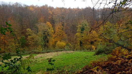 Valkenburg-Viltergroeve (4)