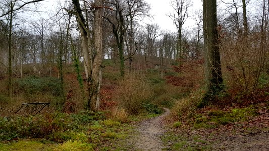 Valkenburg-Polferbos (8)