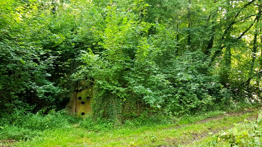 Valkenburg-Viltergroeve (3)