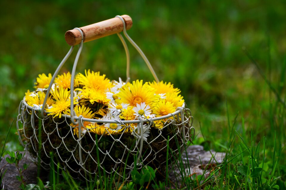 Flower basket floral greeting mother's day