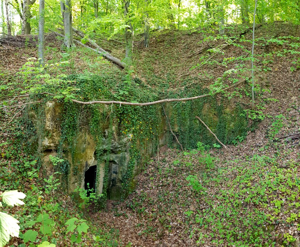 Valkenburg-Vogelbosgroeve (2)