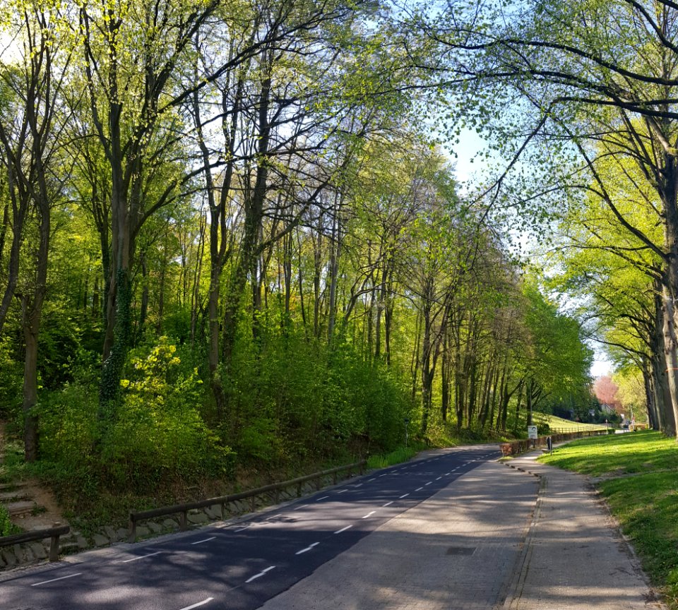 Valkenburg-Vogelbos