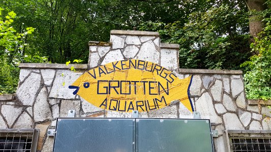 Valkenburg-Trichterberggroeve (2)
