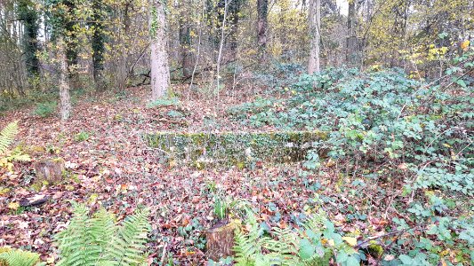 Valkenburg-Viltergroeve (12)