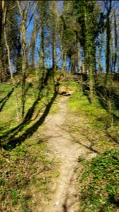 Valkenburg-Heiberggroeve (8)