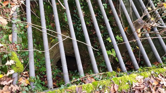 Valkenburg-Viltergroeve (11)
