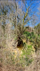 Valkenburg-Sint-Josephgroeve (2)