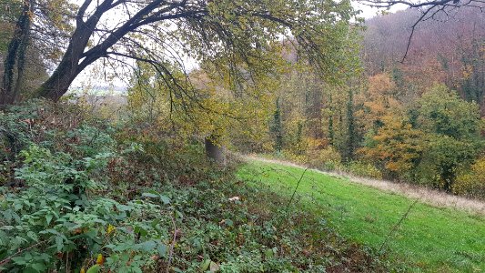 Valkenburg-Viltergroeve (6)