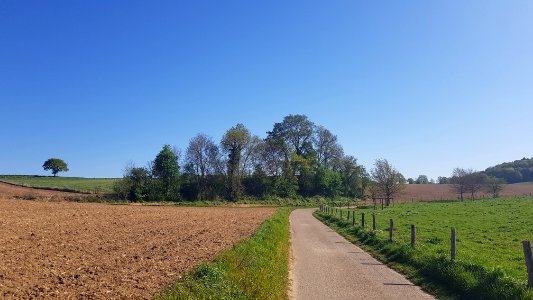 Valkenburg-Auvermansboschke (8)