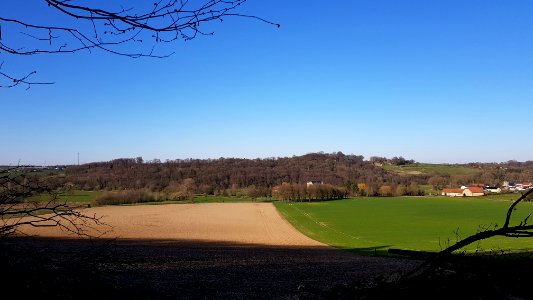 Valkenburg-Schaelsbergerbos (7)