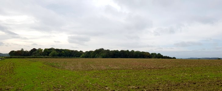 Valkenburg-Schaelsbergerbos (2)