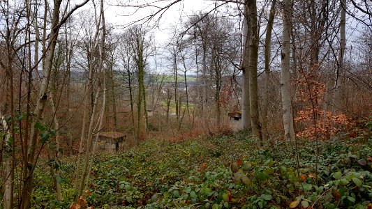 Valkenburg-Polferbos (11)
