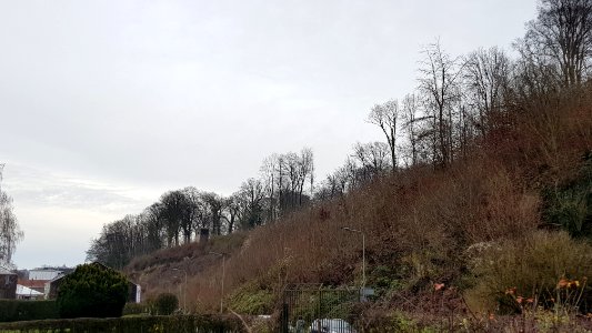 Valkenburg-Polferbos (3)