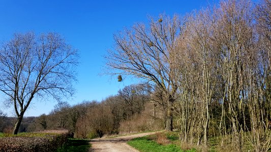 Valkenburg-Biebosch (2)