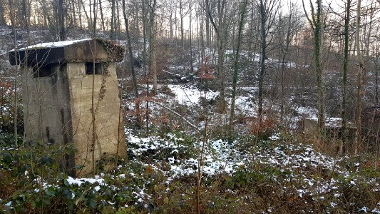 Valkenburg-bunker C + D in Polferbos (8)