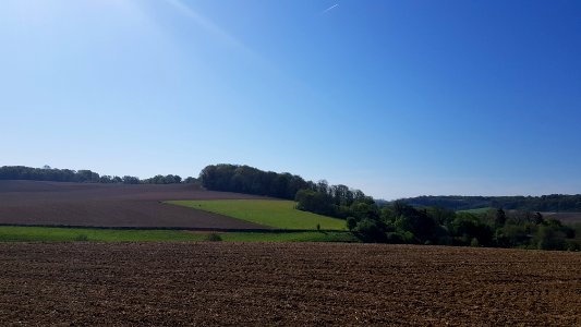 Valkenburg-Schaelsbergerbos (10)