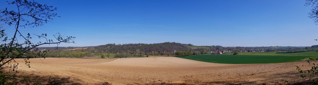 Valkenburg-Schaelsbergerbos (8)